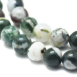 天然石ツリーアゲート瑪瑙ビーズ連売り  ラウンド  6mm  穴：1mm  約62個/連  38cm&nbsp;G-F674-11-6mm