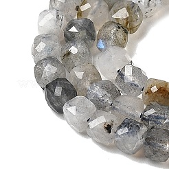 Natural Labradorite Beads Strands&nbsp;G-D358-A01