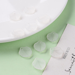 Transparent Frosted Acrylic Pendants&nbsp;MACR-S371-02A-701
