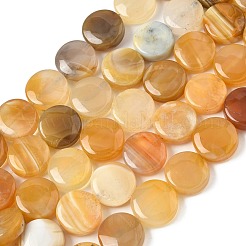 Natural Yellow Botswana Agate Beads Strands&nbsp;G-F790-H04-04