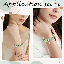 100Pcs 10 Styles Resin European Beads&nbsp;RPDL-SP0001-07