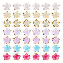 120Pcs 8 Colors Acrylic Bead Caps&nbsp;MACR-TA0002-59