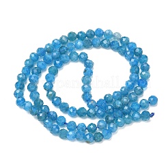 Natural Apatite Beads Strands&nbsp;G-Z160-A01-4mm