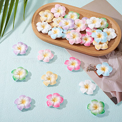 28色のプルメリアの花の不透明樹脂カボション7個  ミックスカラー  29~30x29~30x7~8mm  4個/カラー&nbsp;CRES-TA0001-75