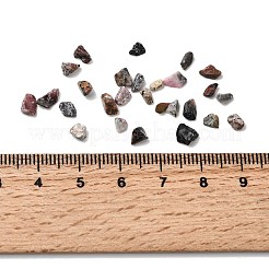 天然ヒョウ肌ジャスパービーズ  チップ  穴なし/ドリルなし  1.5~1.7x1.5~5x1~2.5mm&nbsp;G-D351-02