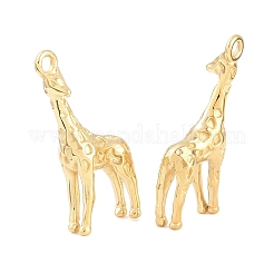 304 Stainless Steel Pendants&nbsp;SA-CBA02E8-03G