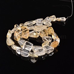 Nuggets Natural Citrine Bead Strands&nbsp;G-M345-07