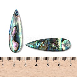 天然パウアシェルペンダント  ティアドロップチャーム  40x12x4mm  穴：0.8mm&nbsp;SSHEL-I026-08A