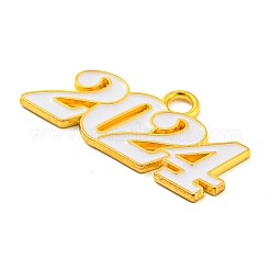 Alloy Enamel Pendants&nbsp;PALLOY-ZX001-12G-05