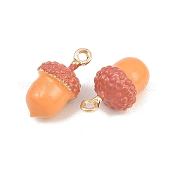 Alloy Enamel Pendants&nbsp;AL-CBA072F-02G-02