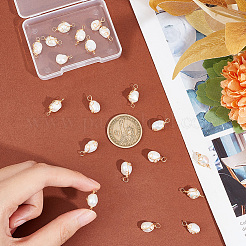 DIY Jewelry Making Finding Kit&nbsp;FIND-HY0003-32