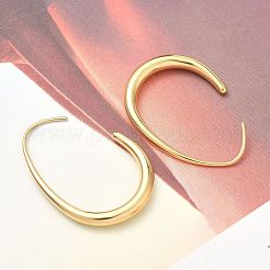 304 Stainless Steel Teardrop Dangle Earrings&nbsp;EJEW-Z158-01G
