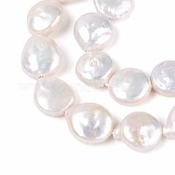 天然バロックケシパールビーズ連売り  有核真珠  フラットラウンド  貝殻色  10~14x10~12x3.5~8mm  穴：0.6mm  約30~34個/連  14.96~15.35インチ（38~39cm）&nbsp;PEAR-S018-02C-05