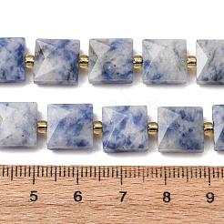 Natural Blue Spot Jasper Beads Strands&nbsp;G-F839-A15-01