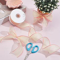 Organza Ribbons&nbsp;AJEW-CY0002-42C