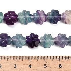 天然蛍石の彫刻ビーズ連売り  クローバー  10x10x5.5mm  穴：1mm  約42個/連  15.71''（39.9センチメートル）&nbsp;G-L634-J04-A02