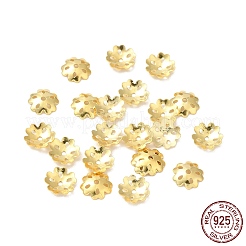925スターリングシルバービーズキャップ  5花びら  花  18KGP本金メッキ  7x7x1.8mm  穴：1mm  約35個/10g&nbsp;STER-F055-04G