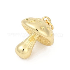 Brass Pendants&nbsp;KK-U062-48G