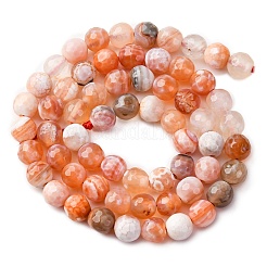 Faceted Natural Fire Crackle Agate Beads Strands&nbsp;G-F447-6mm-B03