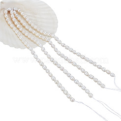 2 Strands Natural Cultured Freshwater Pearl Beads Strands&nbsp;PEAR-NB0002-55