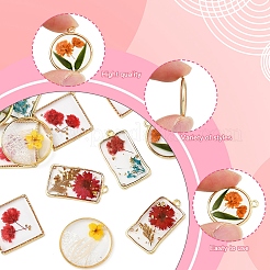 12 個 6 スタイル無色透明エポキシレジンペンダント  内側の花と縁に金メッキの合金ループチャーム  混合図形  22~30x14.5~26.5x3~3.8mm  穴：1.4mm  2個/スタイル&nbsp;RESI-FS0001-88A