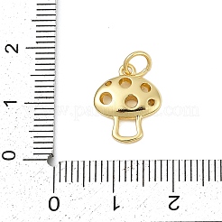 Brass Charms&nbsp;KK-S527-35G