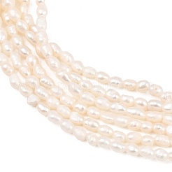 Natural Cultured Freshwater Pearl Beads Strands&nbsp;PEAR-D003-01D-02