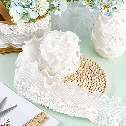 Polyester Lace Trim Ribbon&nbsp;OCOR-WH20005-43A