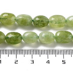 Dyed Natural Malaysia Jade Beads Strands&nbsp;G-P528-I01-01
