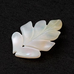 Natural Sea Shell Pendants&nbsp;SSHEL-K001-002