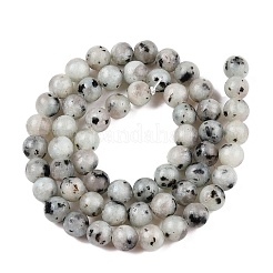Natural Sesame Jasper/Kiwi Jasper Bead Strands&nbsp;G-R345-6mm-36
