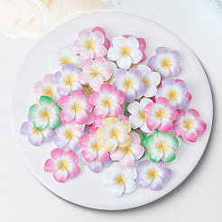 プルメリアの花の不透明樹脂カボション  ミックスカラー  29~30x29~30x7~8mm  40個/セット&nbsp;CRES-BM0001-01B
