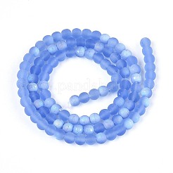 Frosted Transparent Glass Beads Strands&nbsp;GLAA-T032-T4mm-MBB04