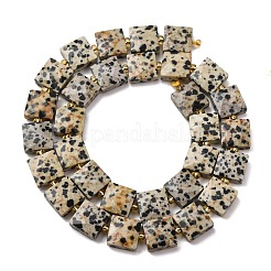 Natural Dalmatian Jasper Beads Strands&nbsp;G-F839-A19-01