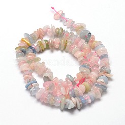 天然モルガナイトチップビーズ連売り  5~14x4~10mm  穴：1mm  約15.5インチ〜16.1インチ&nbsp;X-G-E271-84