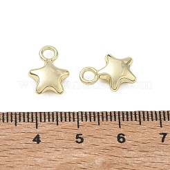 合金チャーム  スターのチャーム  ラックめっき  カドミウムフリー＆鉛フリー  ゴールドカラー  14x10x4.5mm  穴：2.5mm&nbsp;AL-CBA5609-10G-A