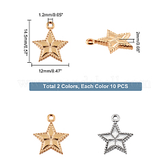 20個2色304ステンレススチールチャーム  スター  ゴールデン·ステンレス鋼色  14.5x12x2mm  穴：1.2mm  10個/カラー&nbsp;FIND-DC0001-13
