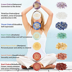 Chakra Themed Natural & Synthetic Mixed Gemstone Palm Stone&nbsp;G-WH0007-05