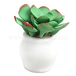 陶器のミニモデル付き鉢植え多肉植物粘土  マイクロランドスケープドールハウスアクセサリー  小道具の装飾のふりをする  ミディアムシーグリーン  35x21mm&nbsp;PW-WG86ED7-01