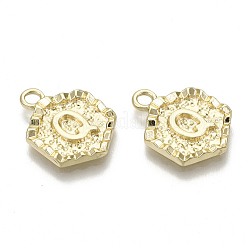 Alloy Pendants&nbsp;PALLOY-N157-003Q-NR