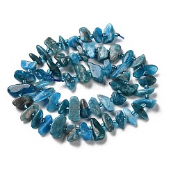 Natural Apatite Beads Strands&nbsp;G-B176-A01-01
