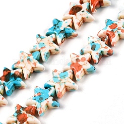 Spray Painted Synthetic Turquoise Beads Strands&nbsp;LS-UNKW-T001-11I