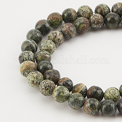 2 Strands Natural Green Zebra Jasper Beads Strands&nbsp;G-OC0002-74