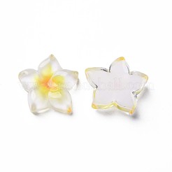 Transparent Epoxy Resin Cabochons&nbsp;X-CRES-S365-23A