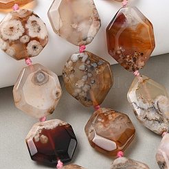 Natural Cherry Blossom Agate Beads Strands&nbsp;GG-CBAD7AB-04