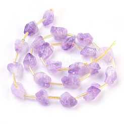 Natural Amethyst Beads Strands&nbsp;G-I250-03B