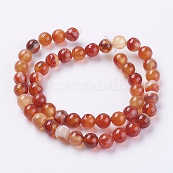 Natural Striped Agate/Banded Agate Beads Strands&nbsp;G-G591-8mm-03
