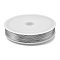 Baking Paint Iron Wire, Round, Silver, 0.5mm, 24 Gauge, about 262.47 Feet(80m)/Roll