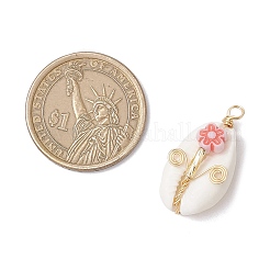 天然カウリーシェル銅線巻きペンダント  アクリルの花と  ゴールドカラー  ミックスカラー  28x14x10mm  穴：2.3mm&nbsp;PALLOY-JF03834