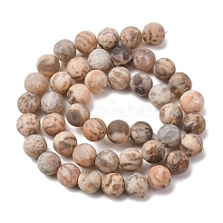 Natural Feldspar Bead Strands&nbsp;G-P295-06-8mm
